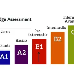 Gráfica de Cambridge English muestra los grados de inglés, desde principiante (A1) hasta nativo (C2), con niveles intermedios.