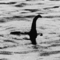 Silueta oscura emerge del agua, con un cuello largo y cabeza distintiva, evocando al legendario loch ness monster.