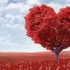 Árbol rojo en forma de corazón en un campo de flores blancas, bajo un cielo azul con nubes. Perfecto para buscar frases de amor en inglés.