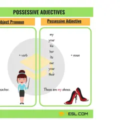 Tabla de adjetivos posesivos en inglés: my, your, his, her, its, our, their. Ejemplos: "my shoes".