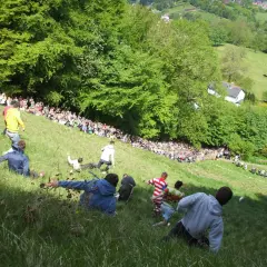 Gente rodando colina abajo en una carrera de cheese rolling.