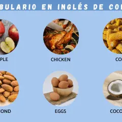 Vocabulario de comida en inglés: manzanas, pollo asado, maíz, almendras, huevos y coco.