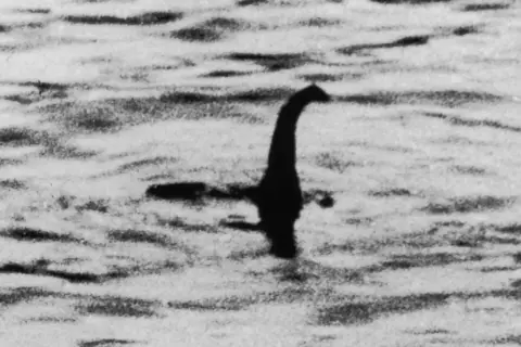 Silueta oscura emerge del agua, con un cuello largo y cabeza distintiva, evocando al legendario loch ness monster.