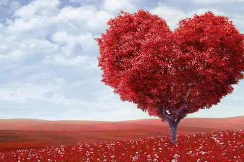 Árbol rojo en forma de corazón en un campo de flores blancas, bajo un cielo azul con nubes. Perfecto para buscar frases de amor en inglés.