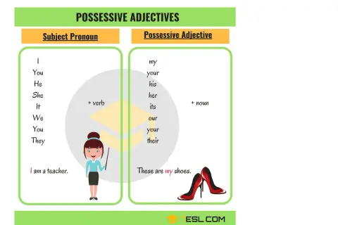 Tabla de adjetivos posesivos en inglés: my, your, his, her, its, our, their. Ejemplos: "my shoes".