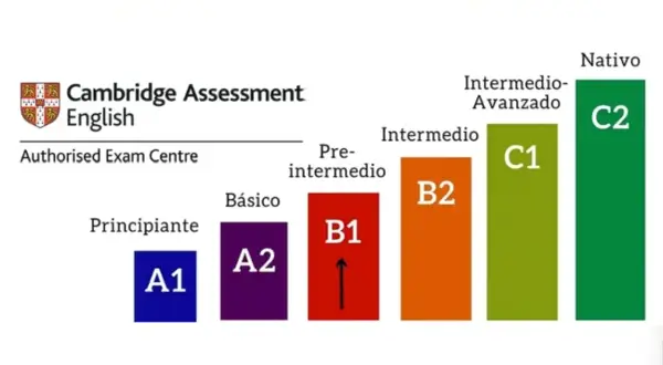 Gráfica de Cambridge English muestra los grados de inglés, desde principiante (A1) hasta nativo (C2), con niveles intermedios.