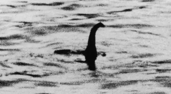 Silueta oscura emerge del agua, con un cuello largo y cabeza distintiva, evocando al legendario loch ness monster.