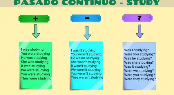 Ejemplos de pasado simple y pasado continuo: afirmaciones, negaciones y preguntas sobre "studying".