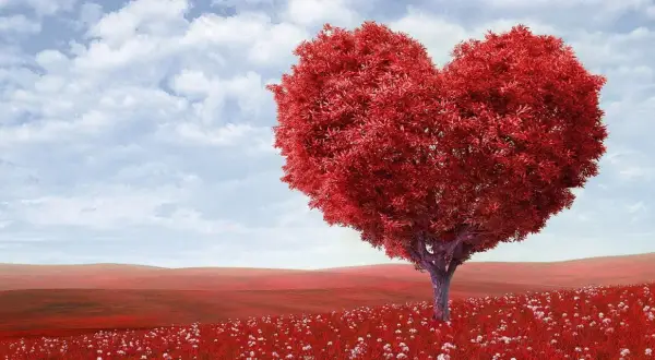 Árbol rojo en forma de corazón en un campo de flores blancas, bajo un cielo azul con nubes. Perfecto para buscar frases de amor en inglés.
