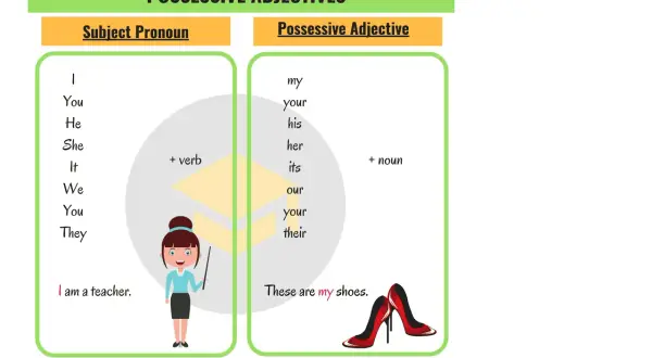 Tabla de adjetivos posesivos en inglés: my, your, his, her, its, our, their. Ejemplos: "my shoes".