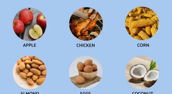 Vocabulario de comida en inglés: manzanas, pollo asado, maíz, almendras, huevos y coco.