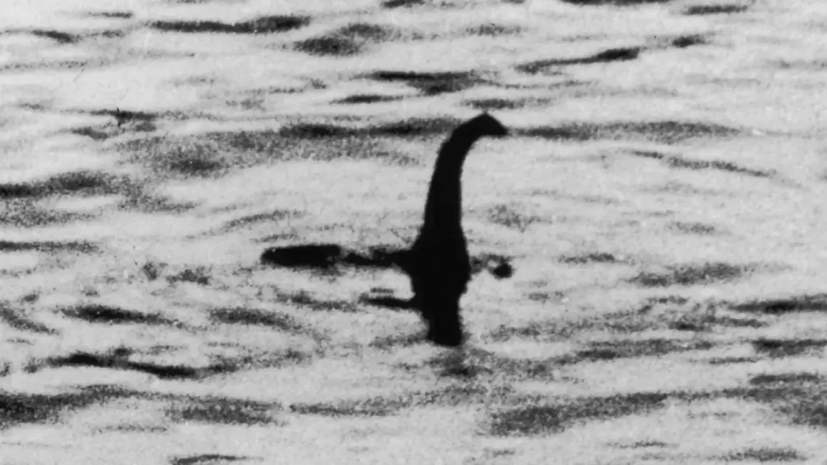 Silueta oscura emerge del agua, con un cuello largo y cabeza distintiva, evocando al legendario loch ness monster.
