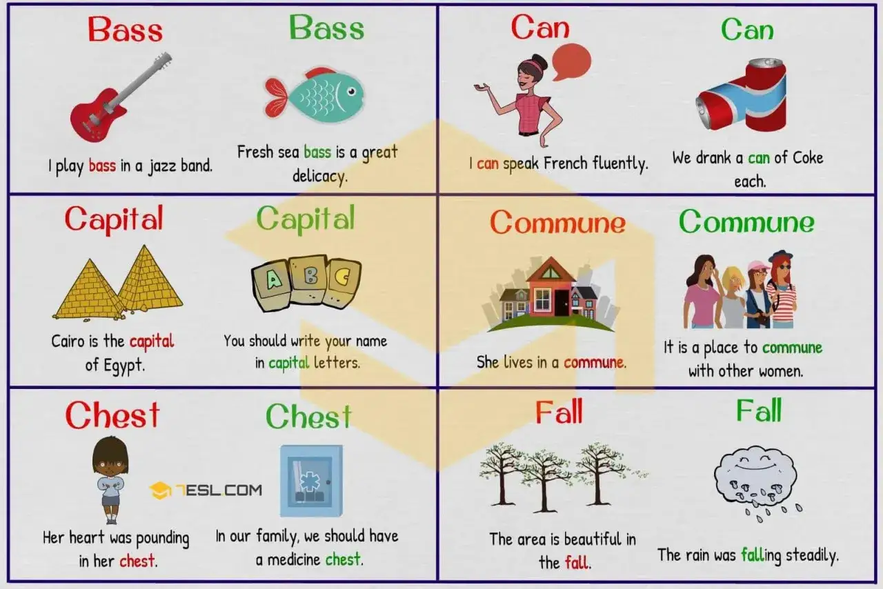 Ejemplos de palabras homógrafas: bass (guitarra/pez), capital (ciudad/mayúscula), can (poder/lata), commune (comunidad/comunicarse), chest (pecho/cofre), fall (caer/otoño).
