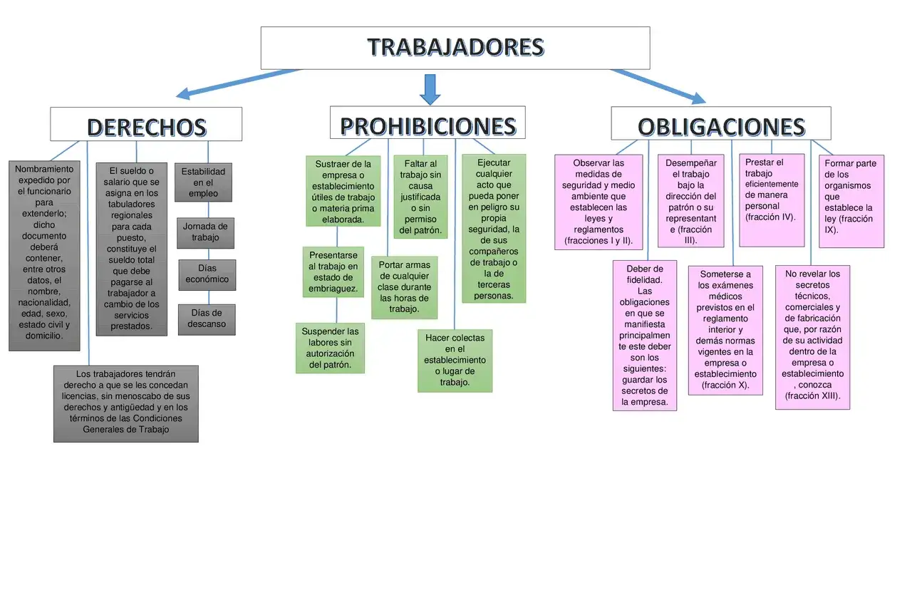 Derechos, prohibiciones y obligaciones del trabajador. No se debe sustraer material, ni presentarse ebrio. Se deben observar medidas de seguridad.