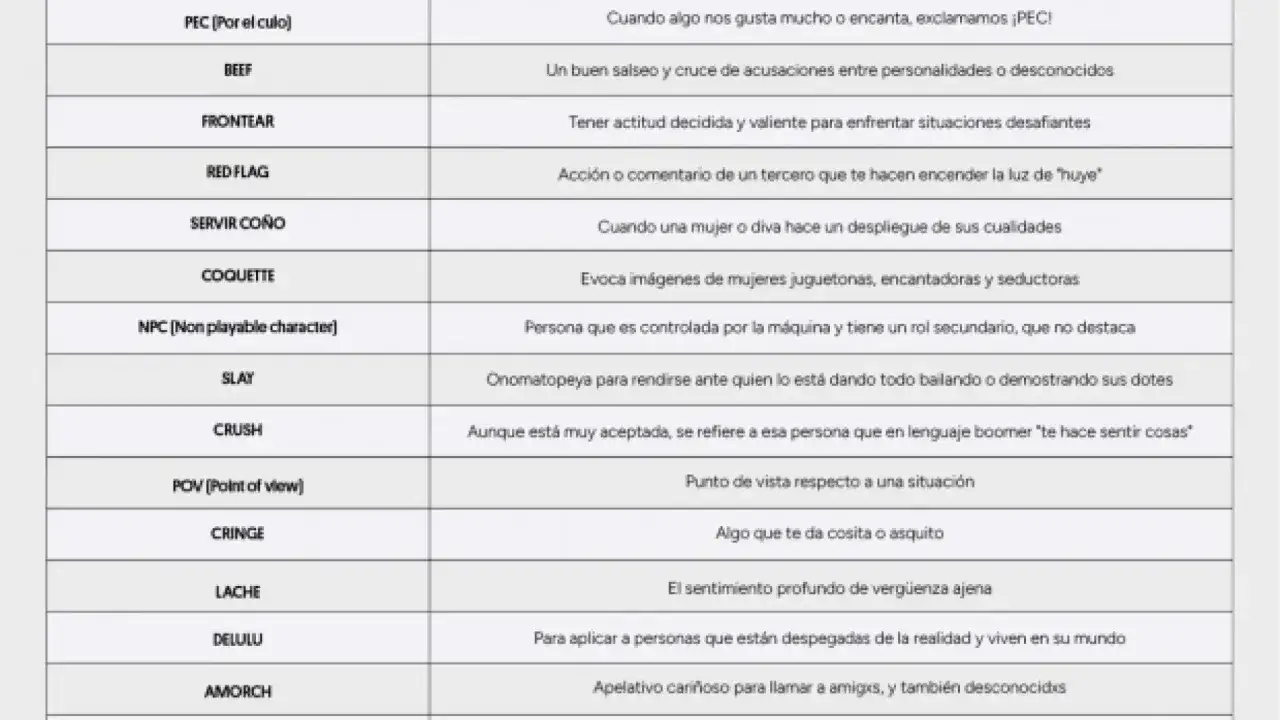 Lista de palabras de la generación Z: PEC, BEEF, FRONTEAR, RED FLAG, COQUETTE, SLAY, CRUSH, POV, CRINGE, LACHE, DELULU, AMORCH.