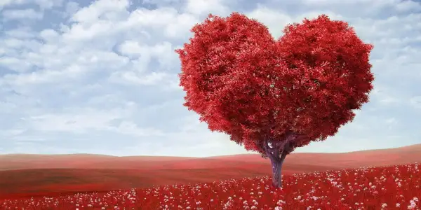 Árbol rojo en forma de corazón en un campo de flores blancas, bajo un cielo azul con nubes. Perfecto para buscar frases de amor en inglés.