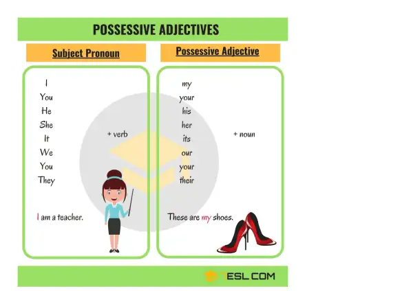 Tabla de adjetivos posesivos en inglés: my, your, his, her, its, our, their. Ejemplos: "my shoes".